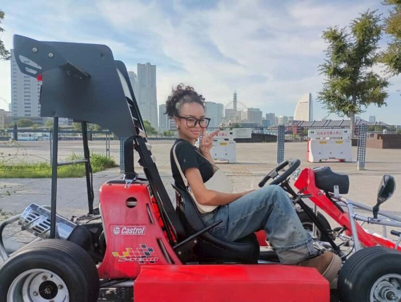 Mt.Fuji: Scenic Tour by Go-Kart with Tour Guide (90 minutes) - Who Should Book This Tour?