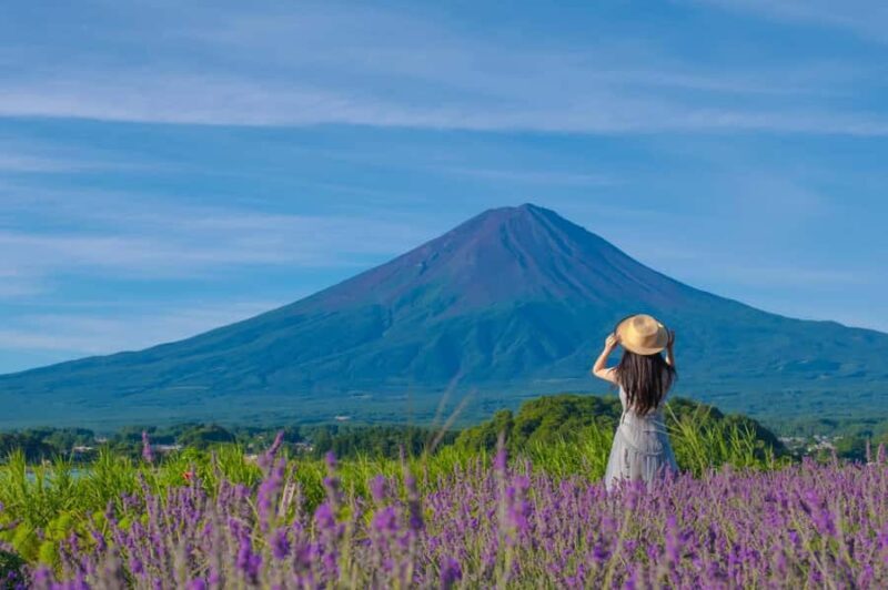 Mt. Fuji Scenic Tour: Lake Kawaguchi & Farm Experience - Key Points