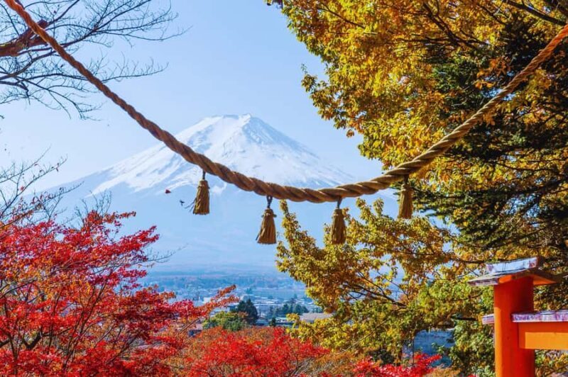 Mt. Fuji Scenic Train & Lake Kawaguchi Day Tour from Tokyo - The Full Experience: What to Expect on This Mt. Fuji & Lake Kawaguchi Day Tour