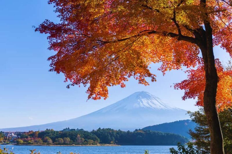 Mt. Fuji Scenic Train & Lake Kawaguchi Day Tour from Tokyo - Final Thoughts