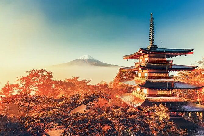 mt-fuji-scenic-views-and-lake-kawaguchi-floral-tour-from-tokyo