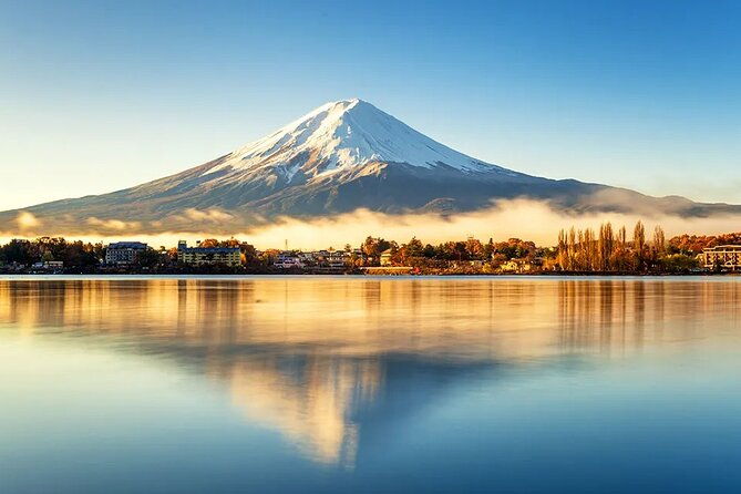 mt-fuji-scenic-views-and-lake-kawaguchi-floral-tour-from-tokyo