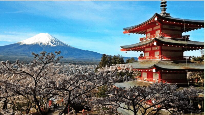 Mt Fuji Sightseeing Private tour with English Speaking Guide - Pricing & Value