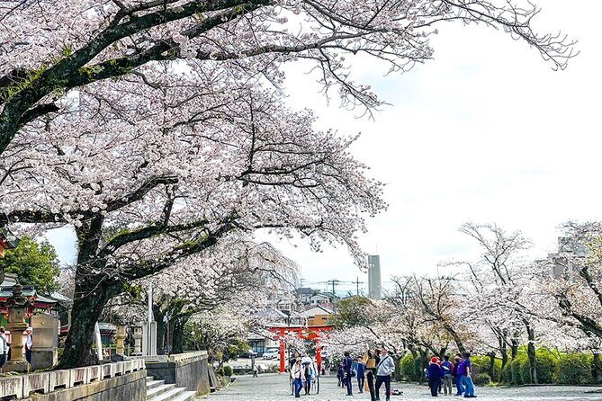 Mt.Fuji Small-Group Tour with Tea Farm,Strawberry Picking&Shrine - Who Is This Tour Best For?
