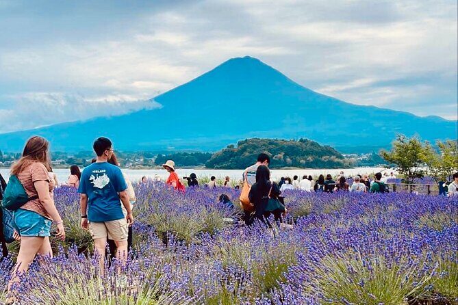 Mt. Fuji Spanish & English tour - What Reviewers Say