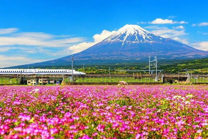 mt-fuji-to-lake-kawaguchi-lake-yamanaka-and-onsen-day-tour