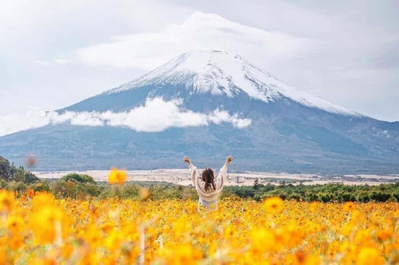 Mt. Fuji Top Spots Tour: Chureito Pagoda,Lake Views And More - Key Points