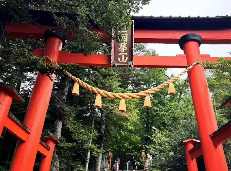 Mt. Fuji Top Spots Tour: Chureito Pagoda,Lake Views And More - Who Is This Tour For?