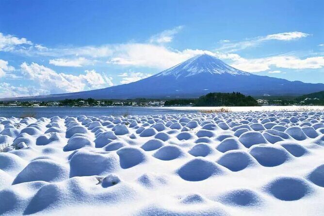 Mt.Fuji Tour: 3-Parks & The Healing Village in Fujiyoshida, Japan - Stop 4: Saiko Iyashi no Sato Nenba