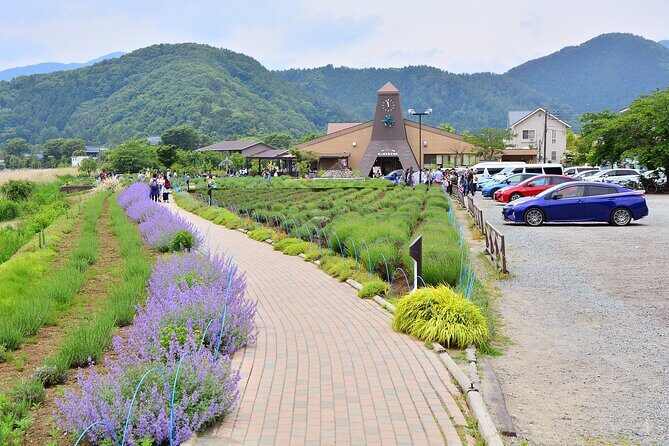 Mt.Fuji Tour: 3-Parks & The Healing Village in Fujiyoshida, Japan - Authentic Experience and Tips