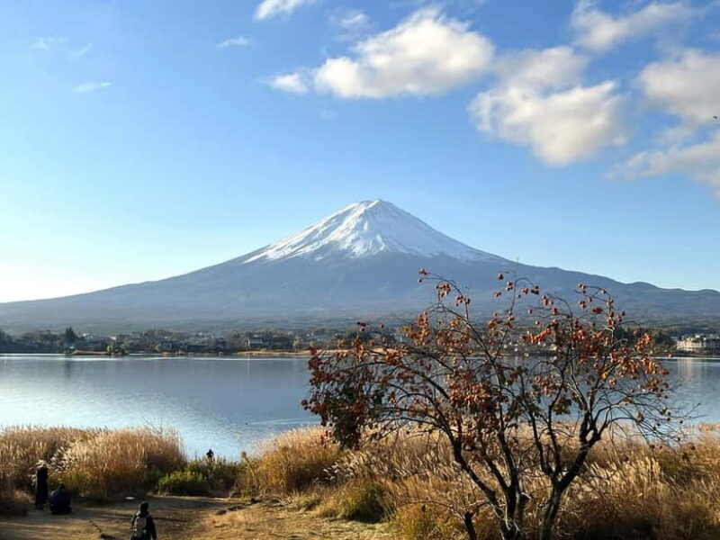 Mt Fuji Tour Customizable, fully Licenced Tour Operator - Why Choose a Fully Licensed Tour Operator?