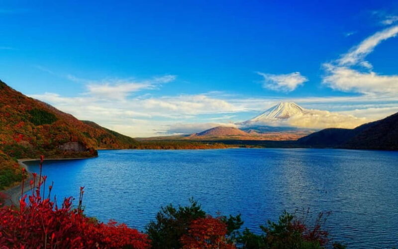 Mt Fuji Tour Customizable, fully Licenced Tour Operator - Who Will Love This Tour?