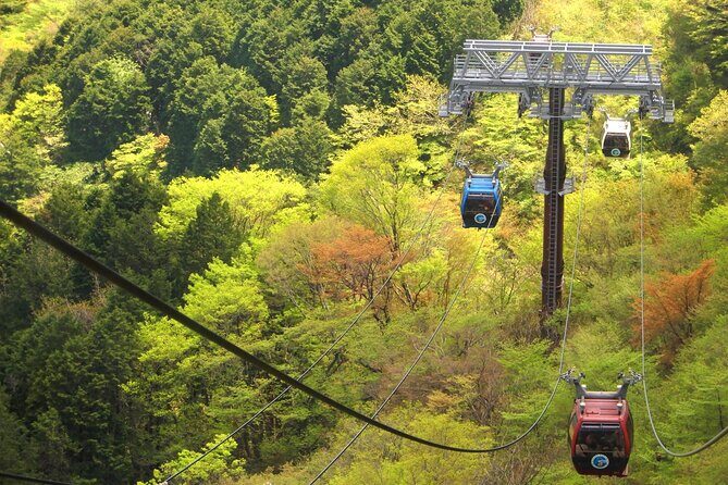 Mt Fuji Tour from Shimizu Port by Private Car - Final Thoughts