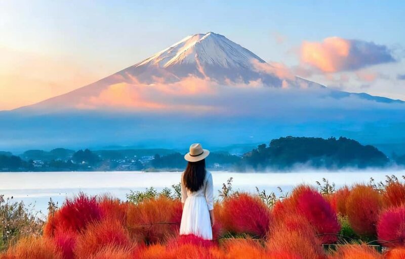 Mt. Fuji Tour: Lake Kawaguchiko Ropeway,Matcha,Oshino Hakkai - A Comprehensive Tour of Mt. Fuji’s Best Sights