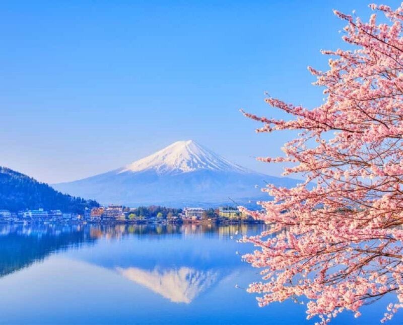 Mt. Fuji Tour: Lake Kawaguchiko Ropeway,Matcha,Oshino Hakkai - FAQ