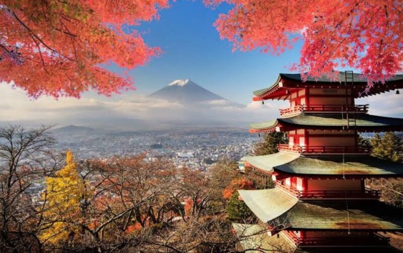 Mt Fuji Tour With Experienced English Driver - Frequently Asked Questions (FAQ)