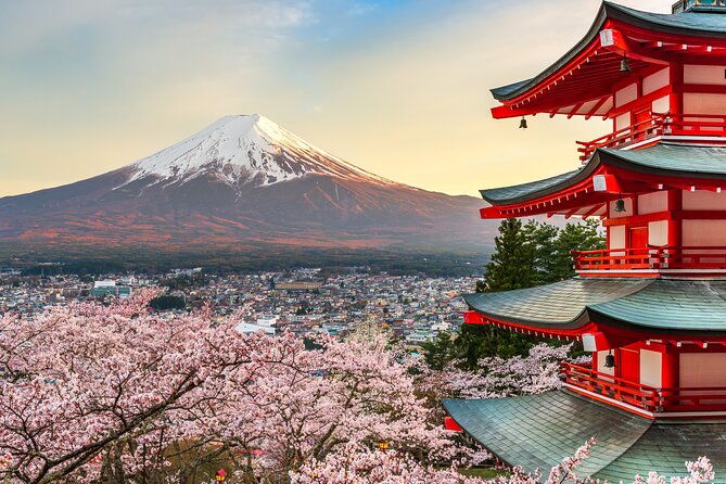 mt-fuji-tour-with-private-english-speaking-driver-from-tokyo