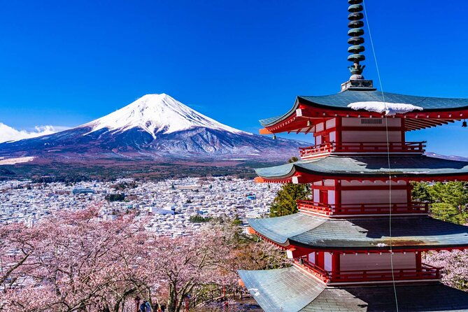 mt-fuji-tours-to-lake-kawaguchi-and-yamanaka-onse-english-guide