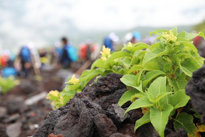 mt-fuji-trekking-1-day-tour-up-to-the-summit