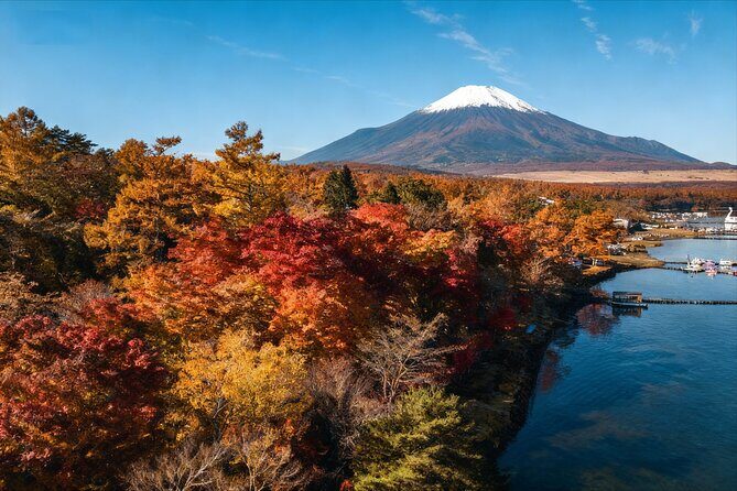 Mt Fuji Twin Lakes Maple Festival Night Lights Tour - Discovering the Experience in Depth