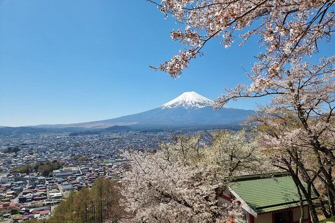 mt-fuji-view-and-2hours-free-time-at-gotemba-premium-outlets