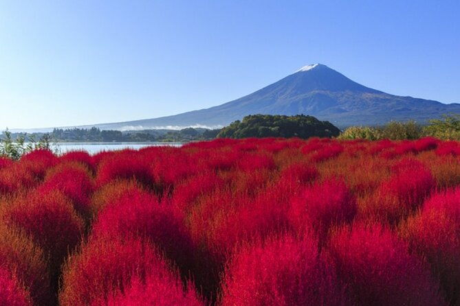 mt-fuji-viewing-suntory-hakushu-distillery-whisky-museum-2