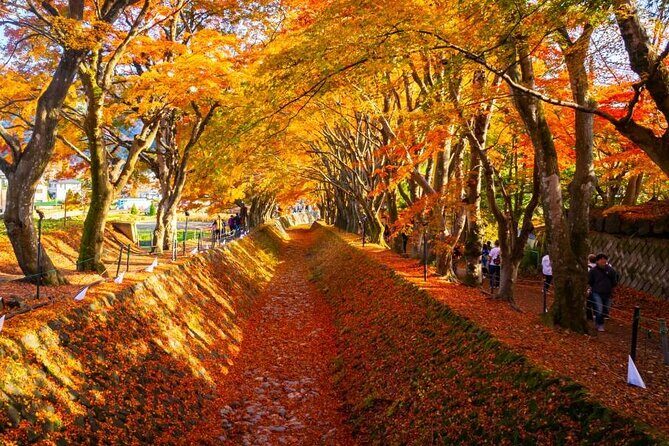 Mt. Fuji Views and Kawaguchiko Scenic Day Tour From Tokyo - Pricing & Value