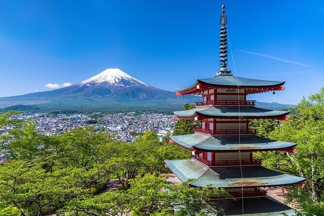 Mt. Fuji Views and Kawaguchiko Scenic Day Tour From Tokyo - Who Is This Tour Best For?