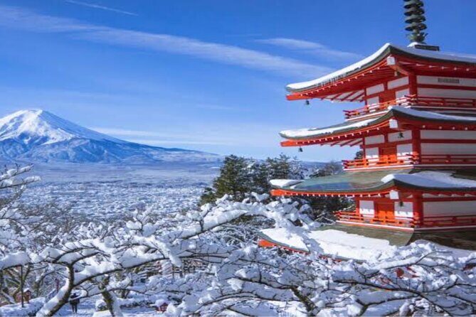 MT FUJI with Private Tour - Why Choose this Private Tour?