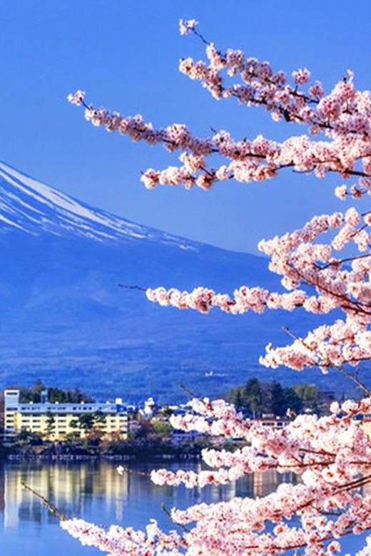 mt-fujikawaguchi-lake-and-ropewayoshino-hakkai-1-day-tour