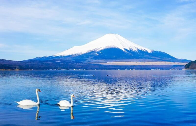 mt-fujilake-kawaguchiyamanaka-onsen-day-tour-from-tokyo