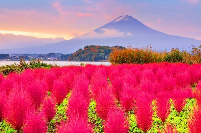 mt-fujilake-kawaguchiyamanaka-onsen-day-tour-from-tokyo
