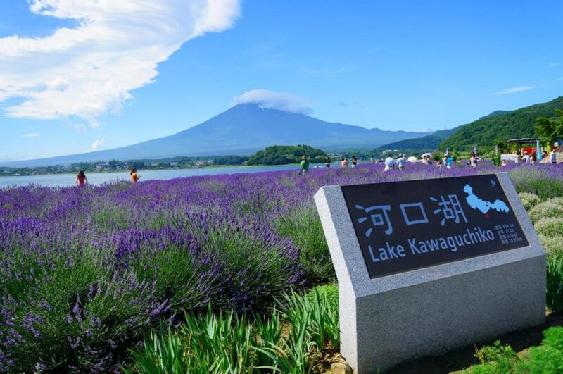 mt-fujilake-kawaguchiyamanaka-onsen-day-tour-from-tokyo