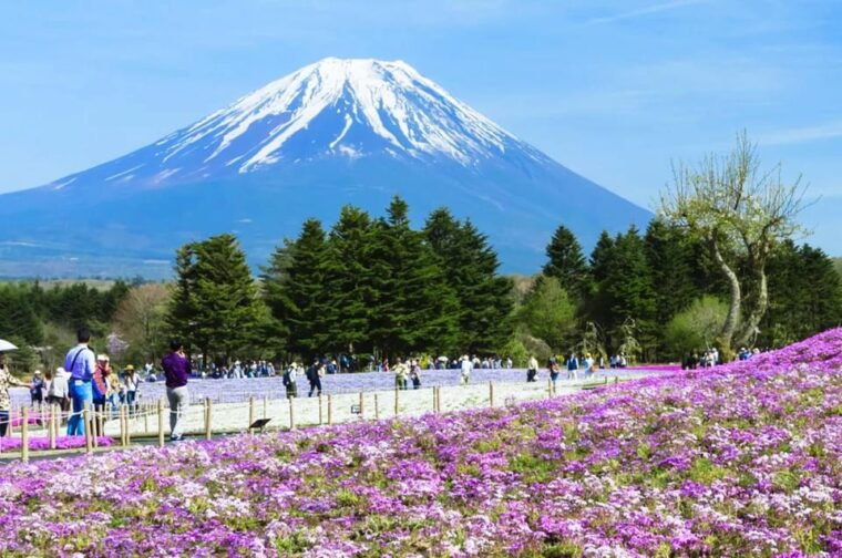 mt-fujilake-kawaguchiyamanaka-onsen-day-tour-from-tokyo