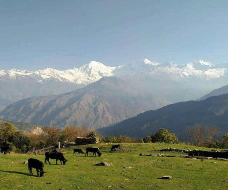 mt-ganesh-himal-yangra-2025-2026