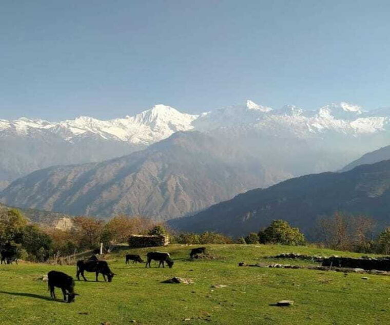 mt-ganesh-himal-yangra-2025-2026