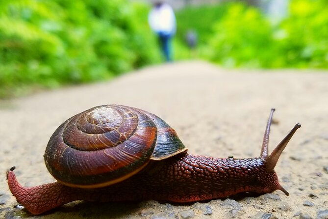 mt-hood-gorge-waterfall-loop-from-portland