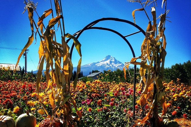 mt-hood-loop-tour-including-multnomah-falls