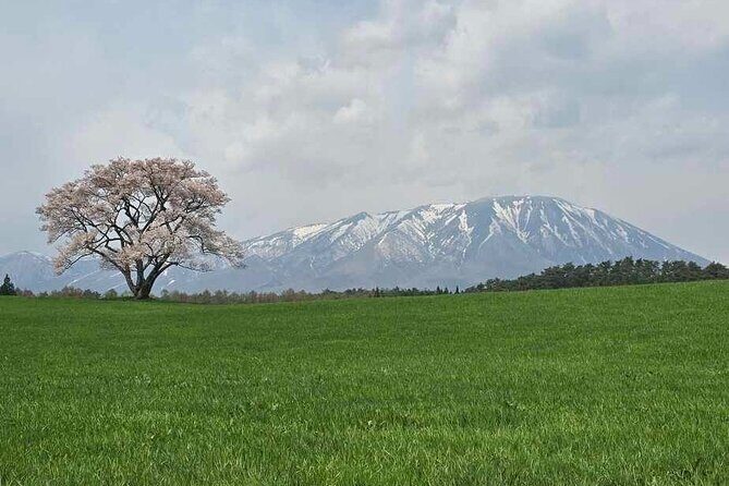Mt. Iwate Panorama Cycling Tour: Culture and Scenic Views - Final Thoughts