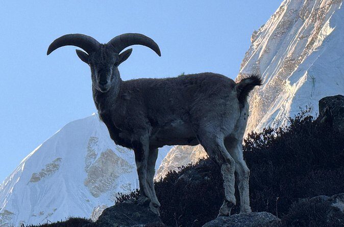 Mt. Kanchenjunga South to North Base Camp Trekking - Final Thoughts