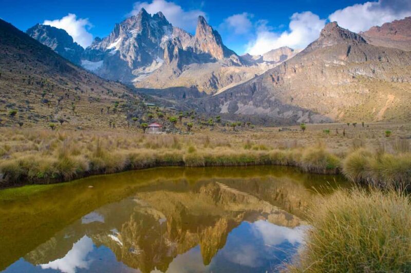 Mt Kenya: Full-day hiking tour from Nairobi - Real Traveler Insights and Tips