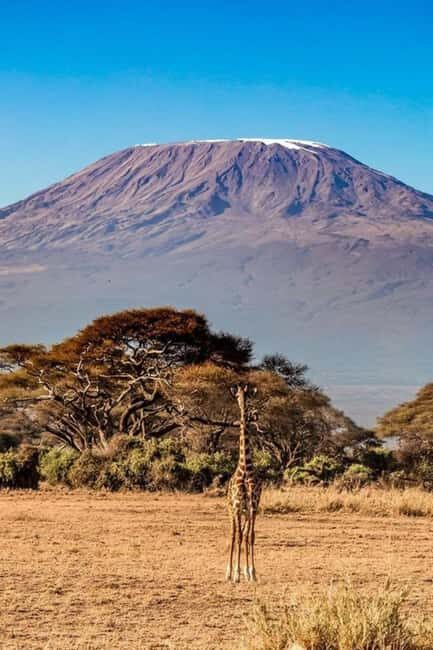 Mt. Kenya to Maasai Mara: An 8-Day Safari Adventure - Key Points