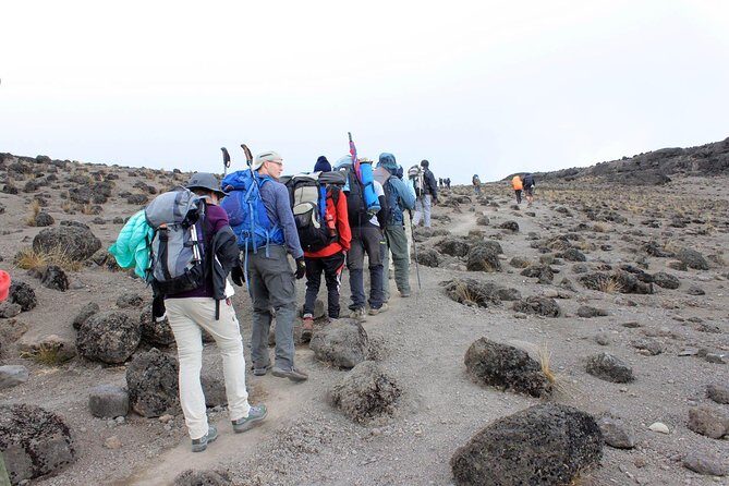 Mt Kilimanjaro 360° Trek with Once-in-a-Lifetime Crater Camping - Final Words: Who Will Love This Kilimanjaro Trek?