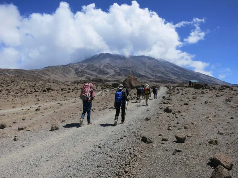 Mt.Kilimanjaro: 5-Day Marangu Route Trekking - Practical Tips for Your Climb