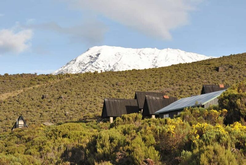 Mt.Kilimanjaro: 5-Day Marangu Route Trekking - Final Thoughts
