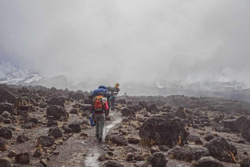 Mt.Kilimanjaro: 6-Day Lemosho Route Kilimanjaro Trekking - Practical Tips for Your Kilimanjaro Trek