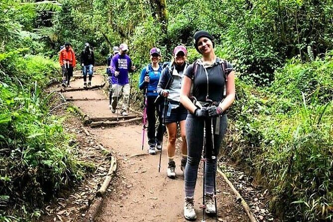 Mt Kilimanjaro Day Hike - Key Points