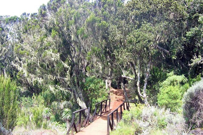Mt Kilimanjaro Day Hike - Frequently Asked Questions