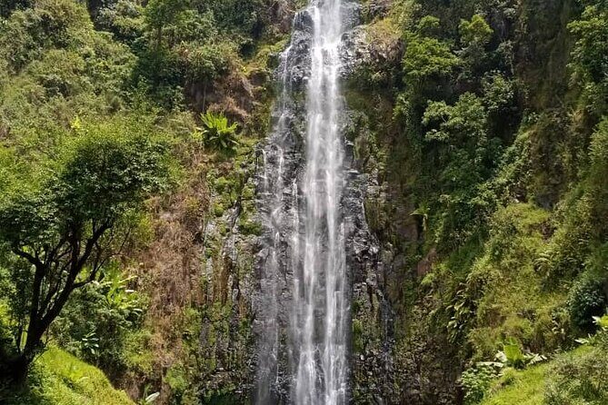 Mt. Kilimanjaro Day hike Materuni waterfall - Why the Price Is Justified: Value for Money