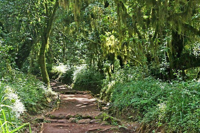 Mt.kilimanjaro-marangu Route - In-Depth Breakdown of the Itinerary